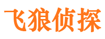 融安市侦探调查公司